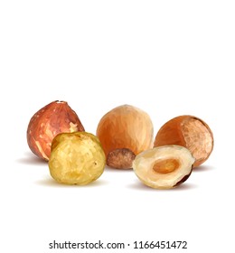 Fresh, nutritious, tasty hazelnut. Symbols of nuts. Elements for label design. Vector illustration. Nuts ingredients in triangulation technique. Hazelnut low poly.