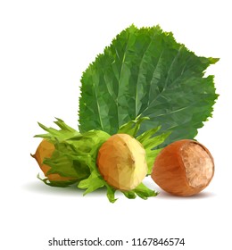 Fresh, nutritious, tasty hazelnut. Symbols of nuts. Elements for label design. Vector illustration. Nuts ingredients in triangulation technique. Hazelnut low poly.