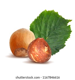 Fresh, nutritious, tasty hazelnut. Symbols of nuts. Elements for label design. Vector illustration. Nuts ingredients in triangulation technique. Hazelnut low poly.