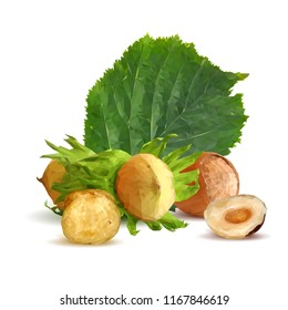 Fresh, nutritious, tasty hazelnut. Symbols of nuts. Elements for label design. Vector illustration. Nuts ingredients in triangulation technique. Hazelnut low poly.