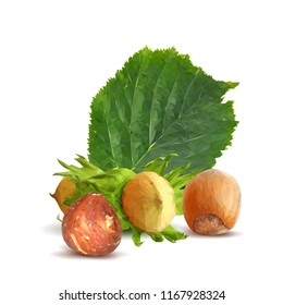 Fresh, nutritious, tasty hazelnut. Symbols of nuts. Elements for label design. Vector illustration. Nuts ingredients in triangulation technique. Hazelnut low poly.