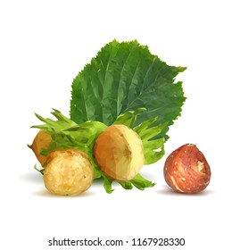 Fresh, nutritious, tasty hazelnut. Symbols of nuts. Elements for label design. Vector illustration. Nuts ingredients in triangulation technique. Hazelnut low poly.