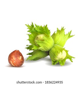 Fresh, nutritious, tasty hazelnut. Symbols of nuts. Elements for label design. Vector illustration. Nuts ingredients in triangulation technique. Hazelnut low poly.