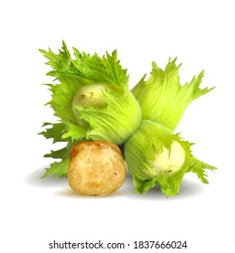 Fresh, nutritious, tasty hazelnut. Symbols of nuts. Elements for label design. Vector illustration. Nuts ingredients in triangulation technique. Hazelnut low poly.