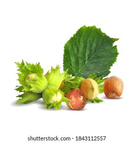 Fresh, nutritious, tasty hazelnut. Symbols of nuts. Elements for label design. Vector illustration. Nuts ingredients in triangulation technique. Hazelnut low poly.