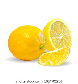 Fresh, nutritious and tasty lemon. Symbols of fruits. Elements for label design. Vector illustration. Fruits ingredients in triangulation technique. Lemon low poly.