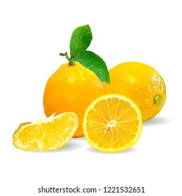 
Fresh, nutritious and tasty lemon. Symbols of fruits. Elements for label design. Vector illustration. Fruits ingredients in triangulation technique. Lemon low poly.