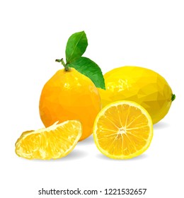 
Fresh, nutritious and tasty lemon. Symbols of fruits. Elements for label design. Vector illustration. Fruits ingredients in triangulation technique. Lemon low poly.