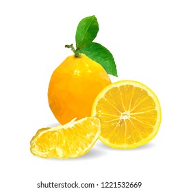 
Fresh, nutritious and tasty lemon. Symbols of fruits. Elements for label design. Vector illustration. Fruits ingredients in triangulation technique. Lemon low poly.