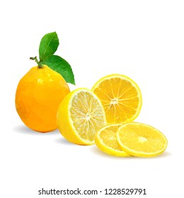 Fresh, nutritious and tasty lemon. Symbols of fruits. Elements for label design. Vector illustration. Fruits ingredients in triangulation technique. Lemon low poly.