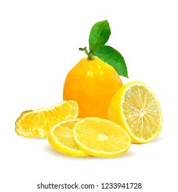 Fresh, nutritious and tasty lemon. Symbols of fruits. Elements for label design. Vector illustration. Fruits ingredients in triangulation technique. Lemon low poly.