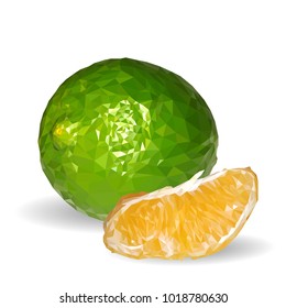 Fresh, nutritious and tasty lime. Symbols of fruits. Elements for label design. Vector illustration. Fruits ingredients in triangulation technique. Lime low poly.