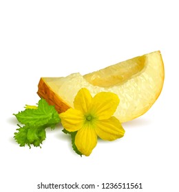 Fresh, nutritious and tasty melon. Melon low poly.