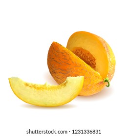 Fresh, nutritious and tasty melon. Symbols of berries. Elements for label design. Vector illustration. Berries ingredients in triangulation technique. Melon low poly.
