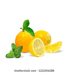 Fresh, nutritious and tasty mint with lemon. Symbols of fruits. Elements for label design. Vector illustration. Fruits ingredients in triangulation technique. Mint with lemon low poly. Mojito.