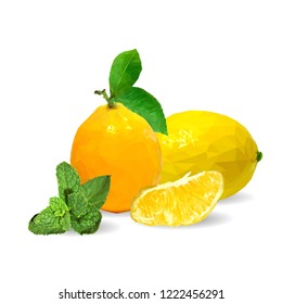 Fresh, nutritious and tasty mint with lemon. Symbols of fruits. Elements for label design. Vector illustration. Fruits ingredients in triangulation technique. Mint with lemon low poly. Mojito.