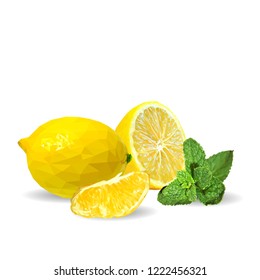 Fresh, nutritious and tasty mint with lemon. Symbols of fruits. Elements for label design. Vector illustration. Fruits ingredients in triangulation technique. Mint with lemon low poly. Mojito.