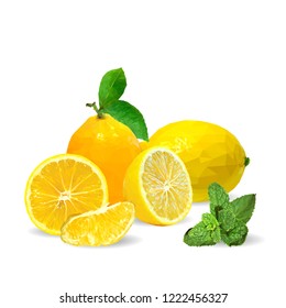 Fresh, nutritious and tasty mint with lemon. Symbols of fruits. Elements for label design. Vector illustration. Fruits ingredients in triangulation technique. Mint with lemon low poly. Mojito.