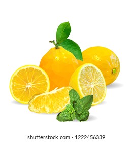 Fresh, nutritious and tasty mint with lemon. Symbols of fruits. Elements for label design. Vector illustration. Fruits ingredients in triangulation technique. Mint with lemon low poly. Mojito.