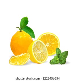 Fresh, nutritious and tasty mint with lemon. Symbols of fruits. Elements for label design. Vector illustration. Fruits ingredients in triangulation technique. Mint with lemon low poly. Mojito.