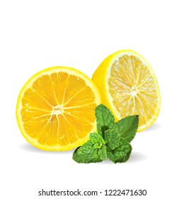 Fresh, nutritious and tasty mint with lemon. Symbols of fruits. Elements for label design. Vector illustration. Fruits ingredients in triangulation technique. Mint with lemon low poly. Mojito.