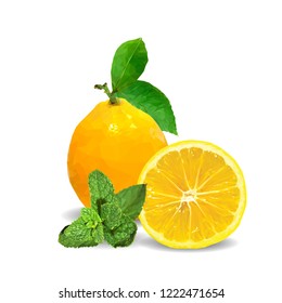 Fresh, nutritious and tasty mint with lemon. Symbols of fruits. Elements for label design. Vector illustration. Fruits ingredients in triangulation technique. Mint with lemon low poly. Mojito.