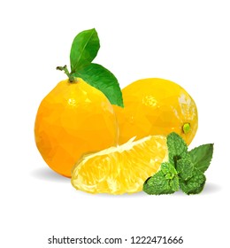Fresh, nutritious and tasty mint with lemon. Symbols of fruits. Elements for label design. Vector illustration. Fruits ingredients in triangulation technique. Mint with lemon low poly. Mojito.