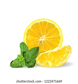 Fresh, nutritious and tasty mint with lemon. Symbols of fruits. Elements for label design. Vector illustration. Fruits ingredients in triangulation technique. Mint with lemon low poly. Mojito.