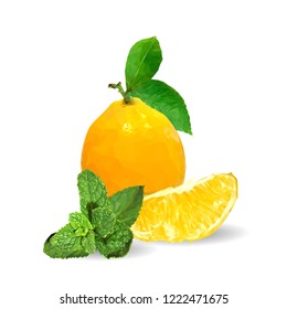 Fresh, nutritious and tasty mint with lemon. Symbols of fruits. Elements for label design. Vector illustration. Fruits ingredients in triangulation technique. Mint with lemon low poly. Mojito.