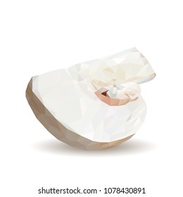 Fresh, nutritious, tasty mushrooms. Elements for pizza design. Vector illustration. Mushrooms ingredients in triangulation technique. Champignons with parsley low poly.