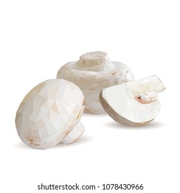 Fresh, nutritious, tasty mushrooms. Elements for pizza design. Vector illustration. Mushrooms ingredients in triangulation technique. Champignons with parsley low poly.