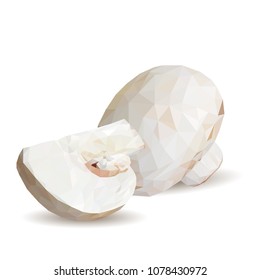 Fresh, nutritious, tasty mushrooms. Elements for pizza design. Vector illustration. Mushrooms ingredients in triangulation technique. Champignons with parsley low poly.