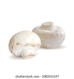 Fresh, nutritious, tasty mushrooms. Elements for pizza design. Vector illustration. Mushrooms ingredients in triangulation technique. Champignons low poly.
