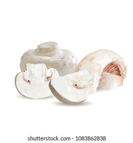 Fresh, nutritious, tasty mushrooms. Elements for pizza design. Vector illustration. Mushrooms ingredients in triangulation technique. Champignons low poly.