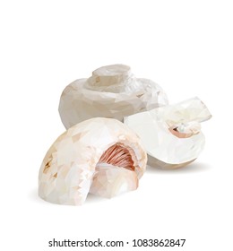 Fresh, nutritious, tasty mushrooms. Elements for pizza design. Vector illustration. Mushrooms ingredients in triangulation technique. Champignons low poly.