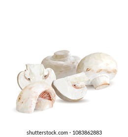 Fresh, nutritious, tasty mushrooms. Elements for pizza design. Vector illustration. Mushrooms ingredients in triangulation technique. Champignons low poly.