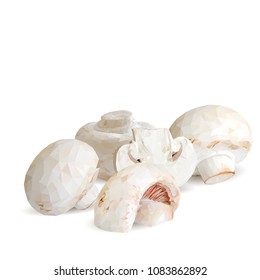 Fresh, nutritious, tasty mushrooms. Elements for pizza design. Vector illustration. Mushrooms ingredients in triangulation technique. Champignons low poly.