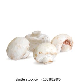 Fresh, nutritious, tasty mushrooms. Elements for pizza design. Vector illustration. Mushrooms ingredients in triangulation technique. Champignons low poly.