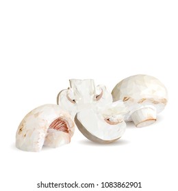 Fresh, nutritious, tasty mushrooms. Elements for pizza design. Vector illustration. Mushrooms ingredients in triangulation technique. Champignons low poly.