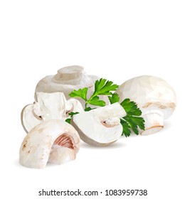 Fresh, nutritious, tasty mushrooms. Elements for pizza design. Vector illustration. Mushrooms ingredients in triangulation technique. Champignons with parsley low poly.