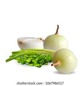 Fresh, nutritious, tasty onion. Green onion. Vector illustration. Vegetables ingredients in triangulation technique. Onion low poly.
