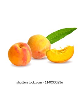 Fresh, nutritious, tasty peach. Delicious and healthy dessert. Elements for label design. Vector illustration. Fruits ingredients in triangulation technique. Peach low poly. 
