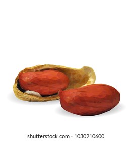 Fresh, nutritious, tasty peanut. Nuts ingredients in triangulation technique. Vector illustration. Nuts ingredients in triangulation technique. Peanut low poly