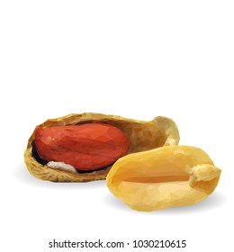 Fresh, nutritious, tasty peanut. Nuts ingredients in triangulation technique. Vector illustration. Nuts ingredients in triangulation technique. Peanut low poly