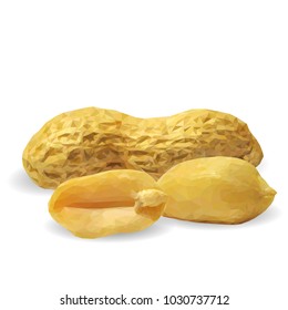Fresh, nutritious, tasty peanut. Nuts ingredients in triangulation technique. Vector illustration. Nuts ingredients in triangulation technique. Peanut low poly