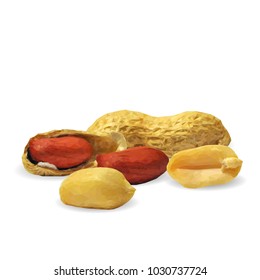 Fresh, nutritious, tasty peanut. Nuts ingredients in triangulation technique. Vector illustration. Nuts ingredients in triangulation technique. Peanut low poly