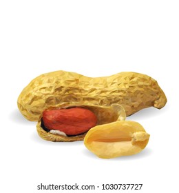 Fresh, nutritious, tasty peanut. Nuts ingredients in triangulation technique. Vector illustration. Nuts ingredients in triangulation technique. Peanut low poly