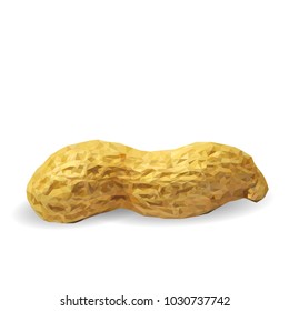 Fresh, nutritious, tasty peanut. Nuts ingredients in triangulation technique. Vector illustration. Nuts ingredients in triangulation technique. Peanut low poly