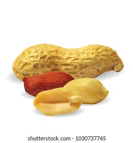 Fresh, nutritious, tasty peanut. Nuts ingredients in triangulation technique. Vector illustration. Nuts ingredients in triangulation technique. Peanut low poly