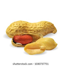 Fresh, nutritious, tasty peanut. Nuts ingredients in triangulation technique. Vector illustration. Nuts ingredients in triangulation technique. Peanut low poly